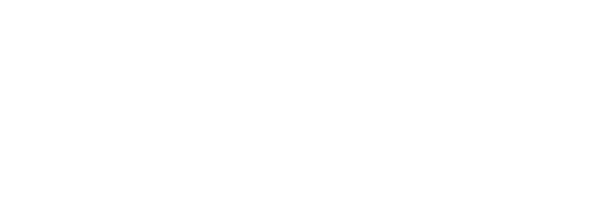 PPI - Radically Pragmatic